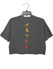 Iron Flame Fourth Wing Burn It Down Crop Top For Women