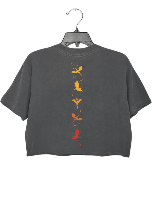 Iron Flame Fourth Wing Burn It Down Crop Top For Women
