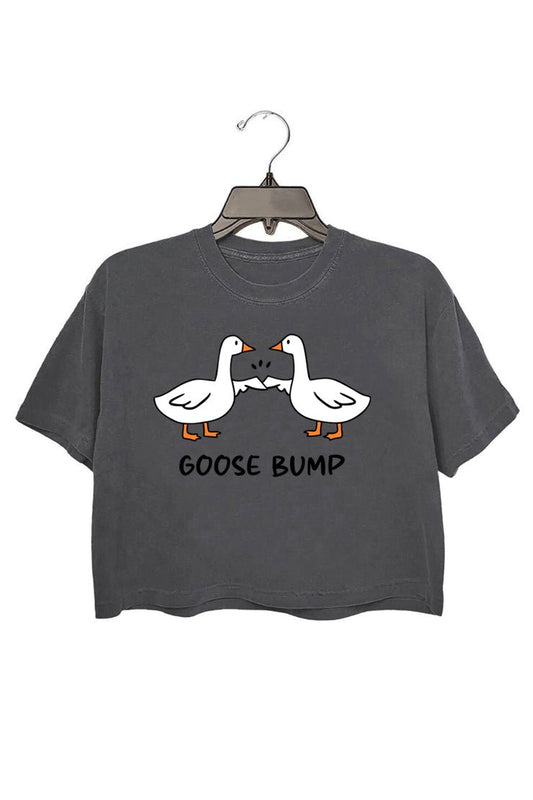 Goose Bump Crop Top For Women