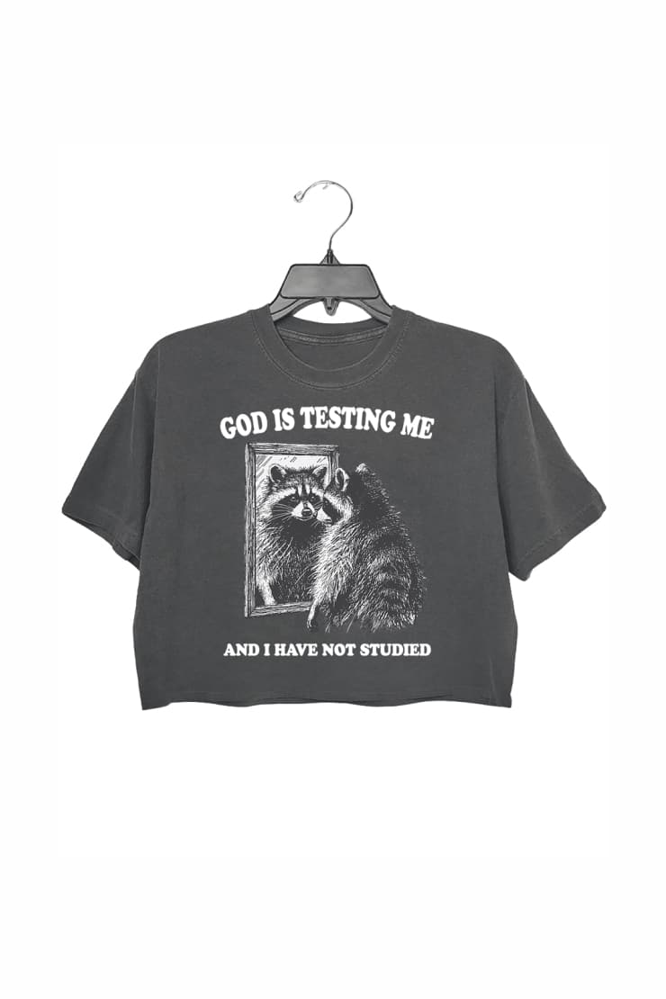 God Is Testing Me And I Have Not Studied Crop Top For Women