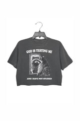 God Is Testing Me And I Have Not Studied Crop Top For Women