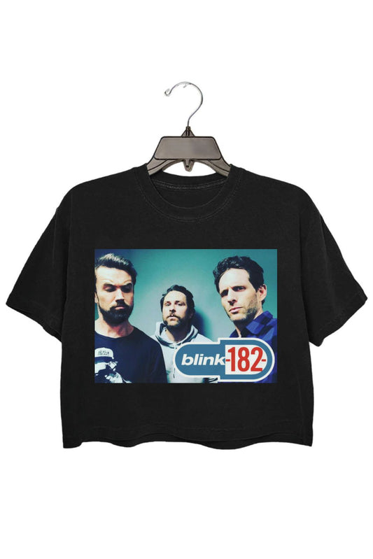 It's Always Sunny In Philadelphia Blink 182 Crop Tee For Women