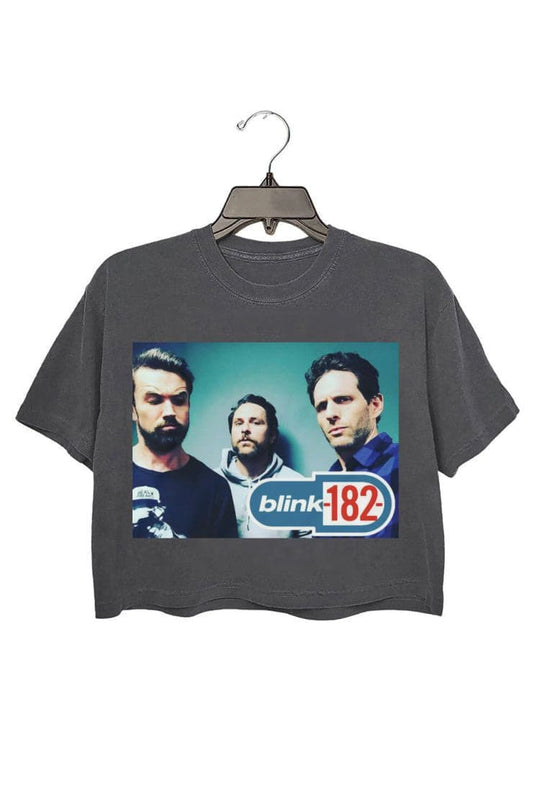 It's Always Sunny In Philadelphia Blink 182 Crop Tee For Women