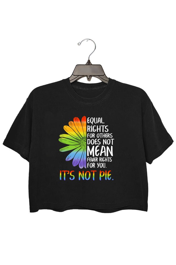 Equal Rights For Others Does Not Mean Fewer Rights For You T-Shirt