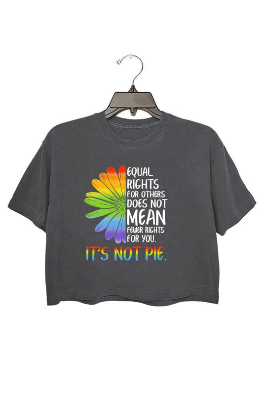 Equal Rights For Others Does Not Mean Fewer Rights For You T-Shirt