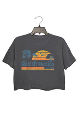 GULF OF MEXICO SINCE 1672