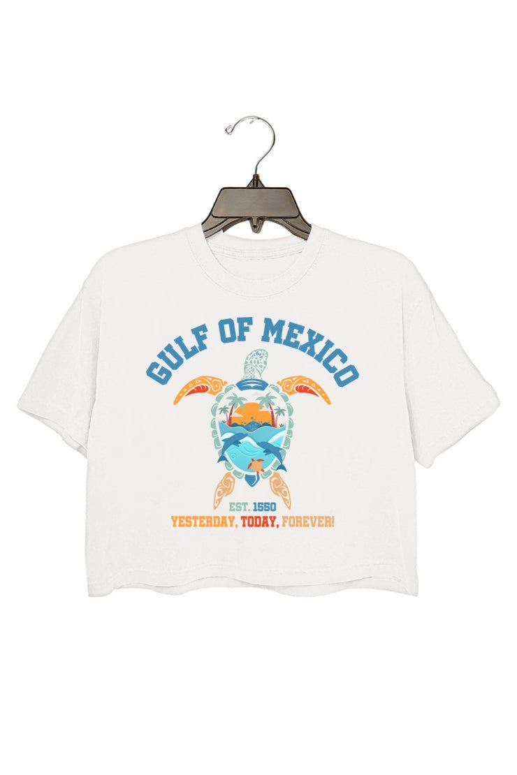 Gulf of Mexico yesterday today forever crop top for women